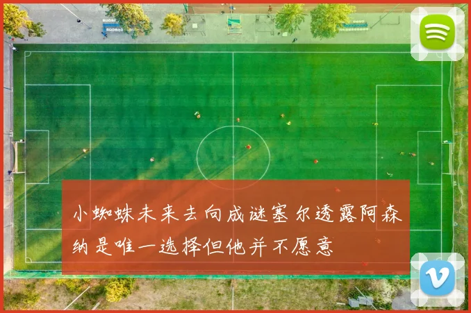 小蜘蛛未来去向成谜塞尔透露阿森纳是唯一选择但他并不愿意